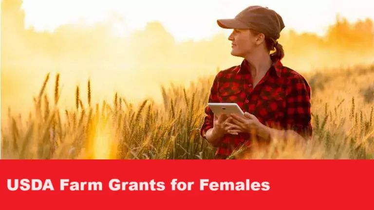 USDA Farm Grants for Females 2024 A Comprehensive Guide